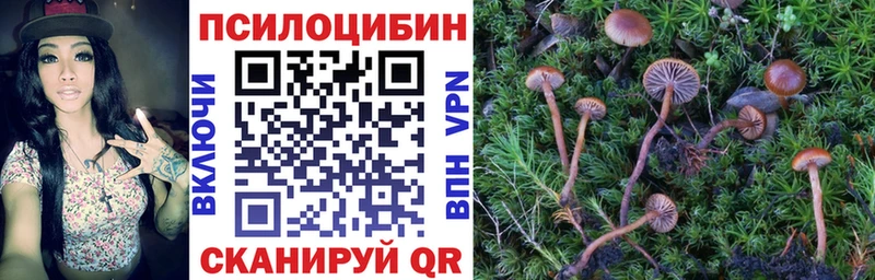 Псилоцибиновые грибы MAGIC MUSHROOMS  дарнет шоп  маркетплейс наркотические препараты  Болхов 